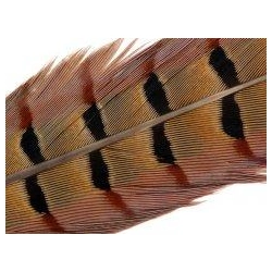 Soldarini Pheasant tail 4 black